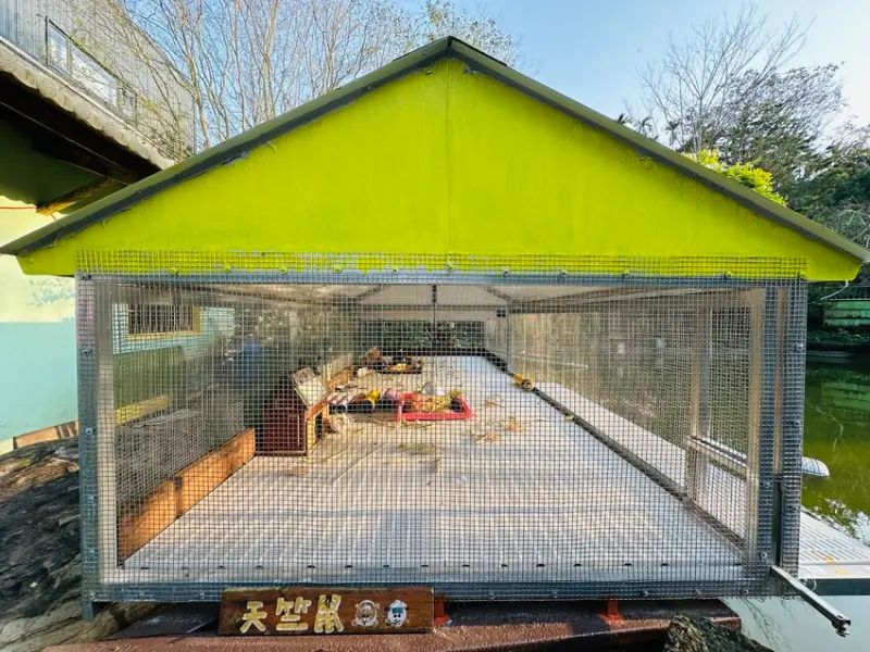 【築夢森居】嘉義親子旅行必訪！野奢豪華露營車開箱，超多元體驗