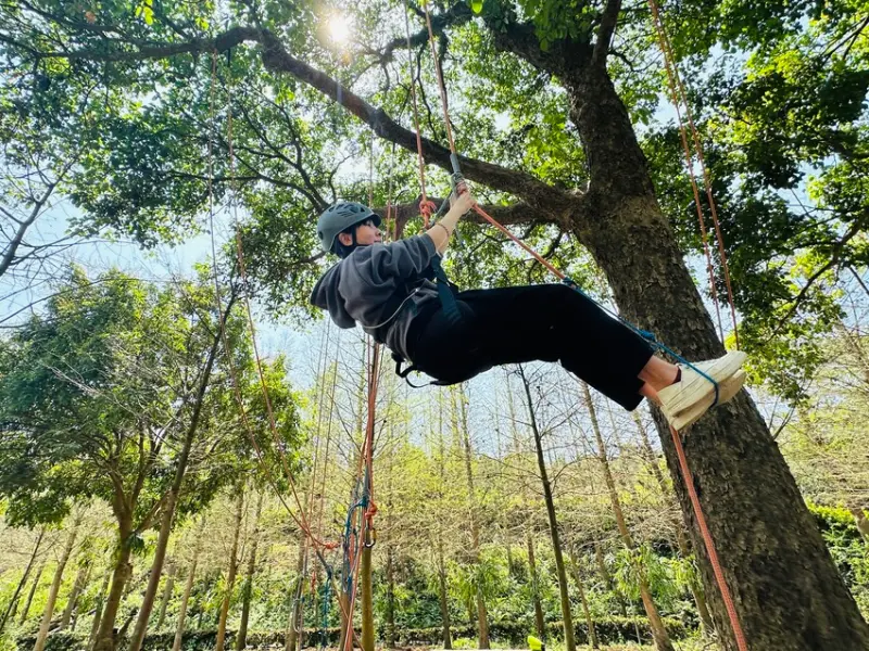 【築夢森居】嘉義親子旅行必訪！野奢豪華露營車開箱，超多元體驗