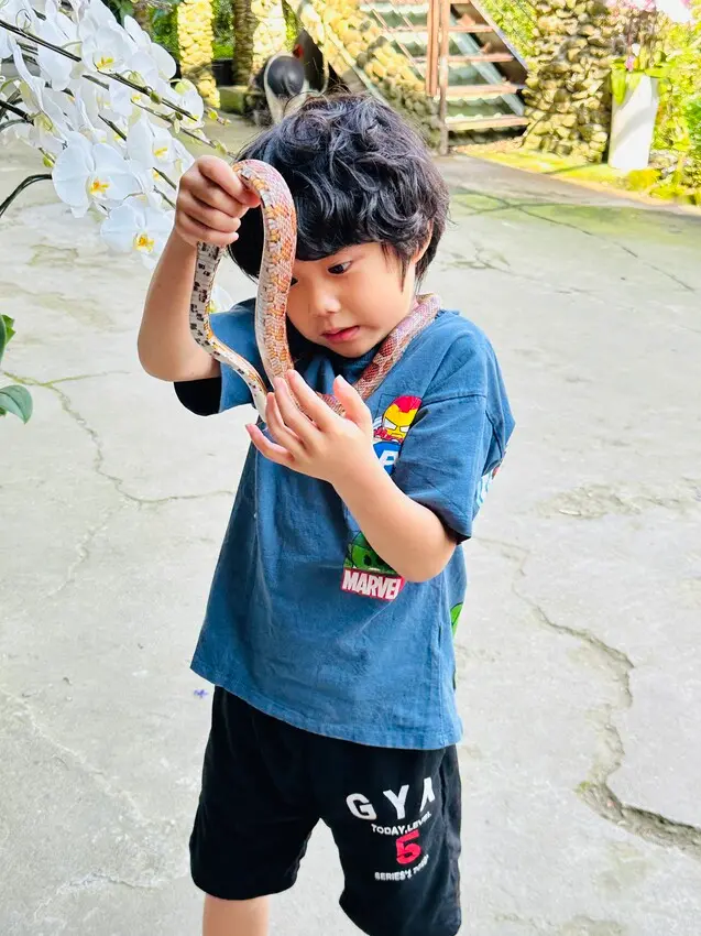 【築夢森居】嘉義親子旅行必訪！野奢豪華露營車開箱，超多元體驗