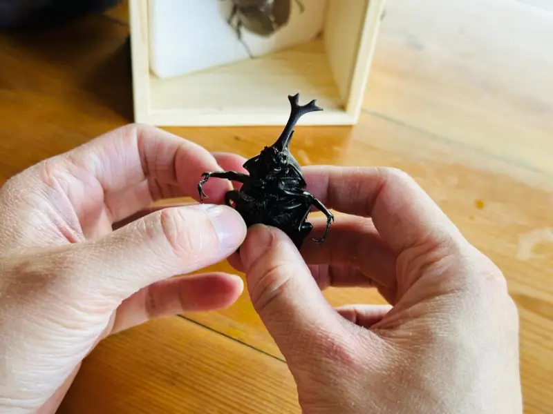 【築夢森居】嘉義親子旅行必訪！野奢豪華露營車開箱，超多元體驗