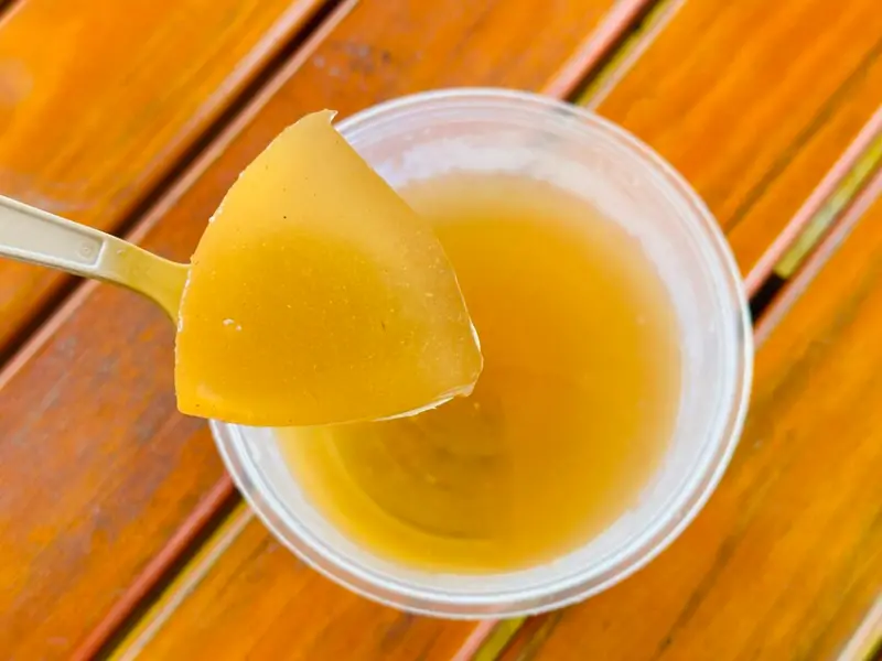 【築夢森居】嘉義親子旅行必訪！野奢豪華露營車開箱，超多元體驗