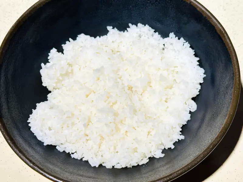 【築夢森居】嘉義親子旅行必訪！野奢豪華露營車開箱，超多元體驗