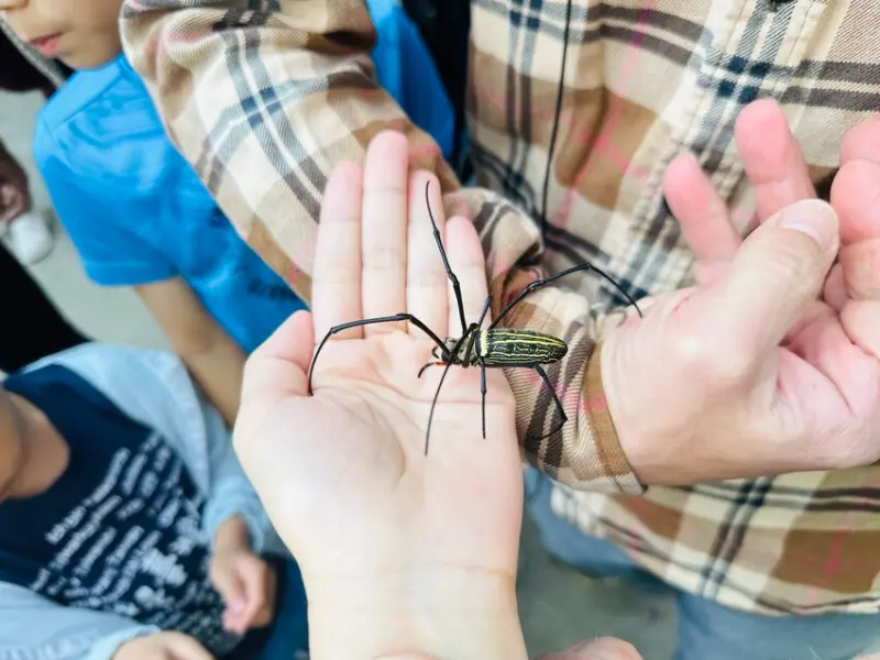 【築夢森居】嘉義親子旅行必訪！野奢豪華露營車開箱，超多元體驗