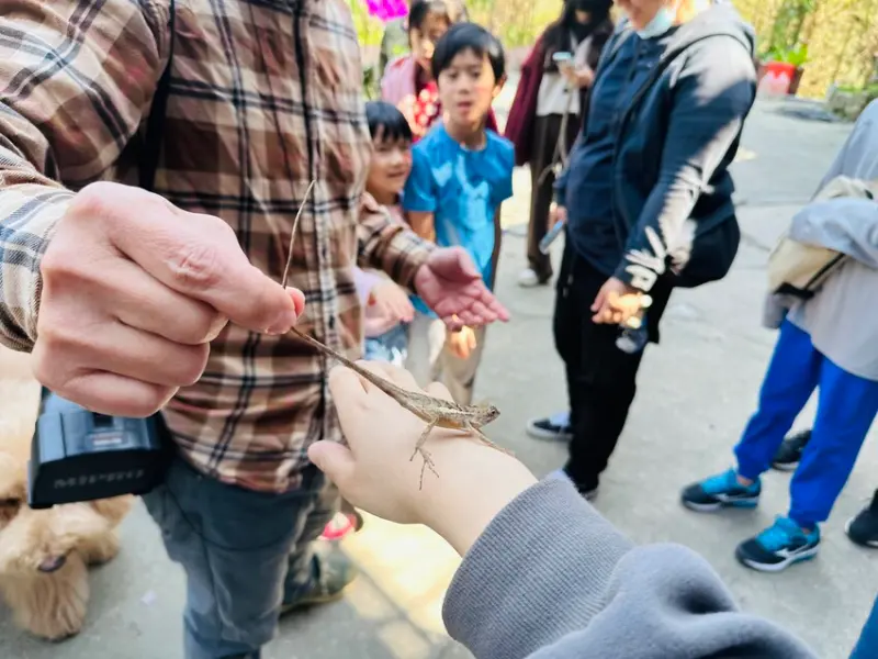 【築夢森居】嘉義親子旅行必訪！野奢豪華露營車開箱，超多元體驗