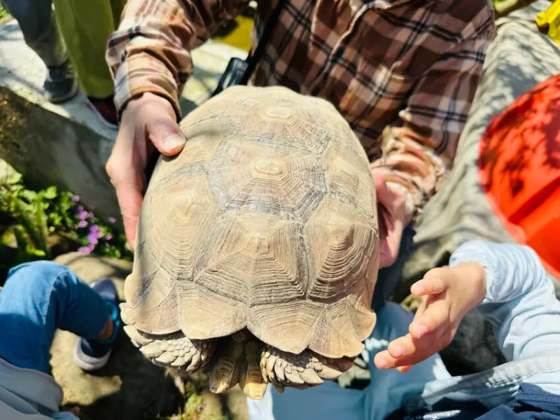 【築夢森居】嘉義親子旅行必訪！野奢豪華露營車開箱，超多元體驗