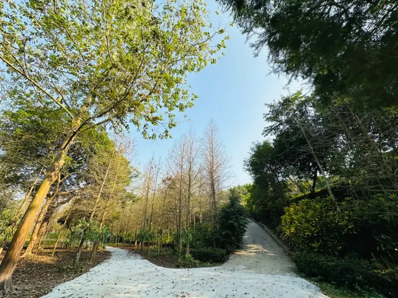 【築夢森居】嘉義親子旅行必訪！野奢豪華露營車開箱，超多元體驗