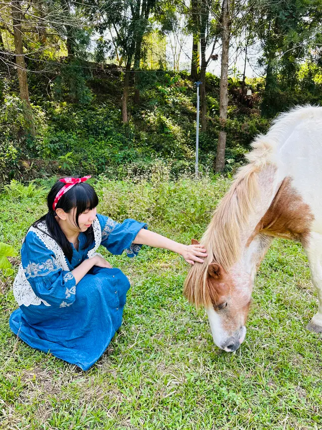 【築夢森居】嘉義親子旅行必訪！野奢豪華露營車開箱，超多元體驗