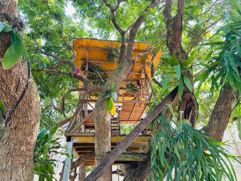 【築夢森居】嘉義親子旅行必訪！野奢豪華露營車開箱，超多元體驗