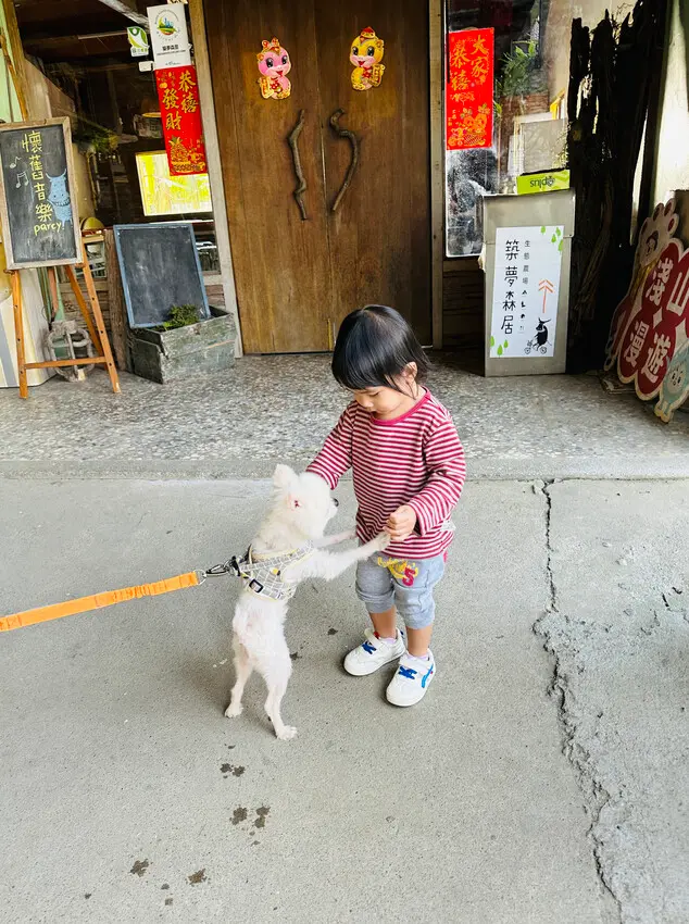 【築夢森居】嘉義親子旅行必訪！野奢豪華露營車開箱，超多元體驗