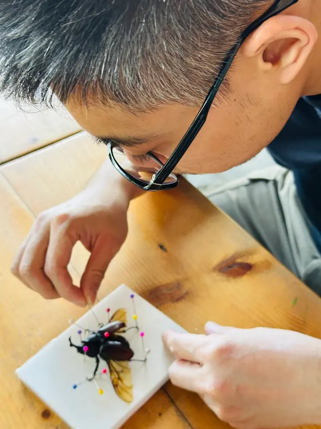 【築夢森居】嘉義親子旅行必訪！野奢豪華露營車開箱，超多元體驗