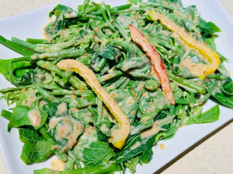 【築夢森居】嘉義親子旅行必訪！野奢豪華露營車開箱，超多元體驗