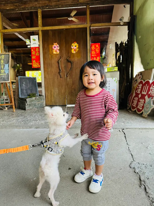 【築夢森居】嘉義親子旅行必訪！野奢豪華露營車開箱，超多元體驗
