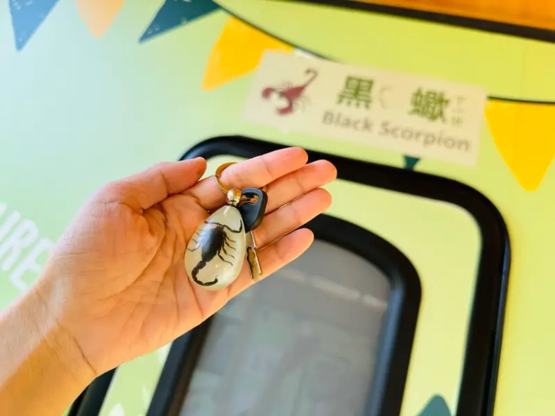 【築夢森居】嘉義親子旅行必訪！野奢豪華露營車開箱，超多元體驗