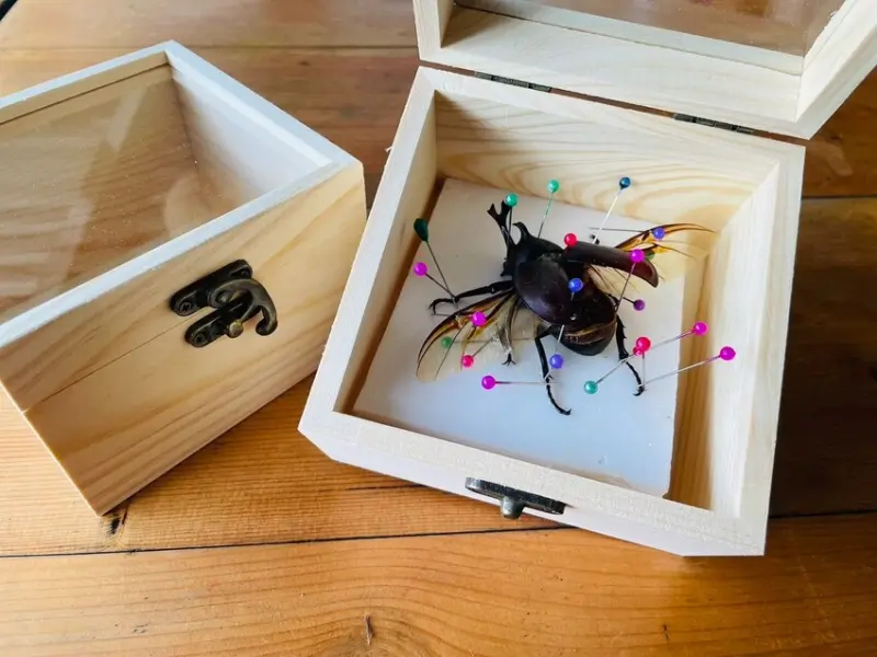 【築夢森居】嘉義親子旅行必訪！野奢豪華露營車開箱，超多元體驗