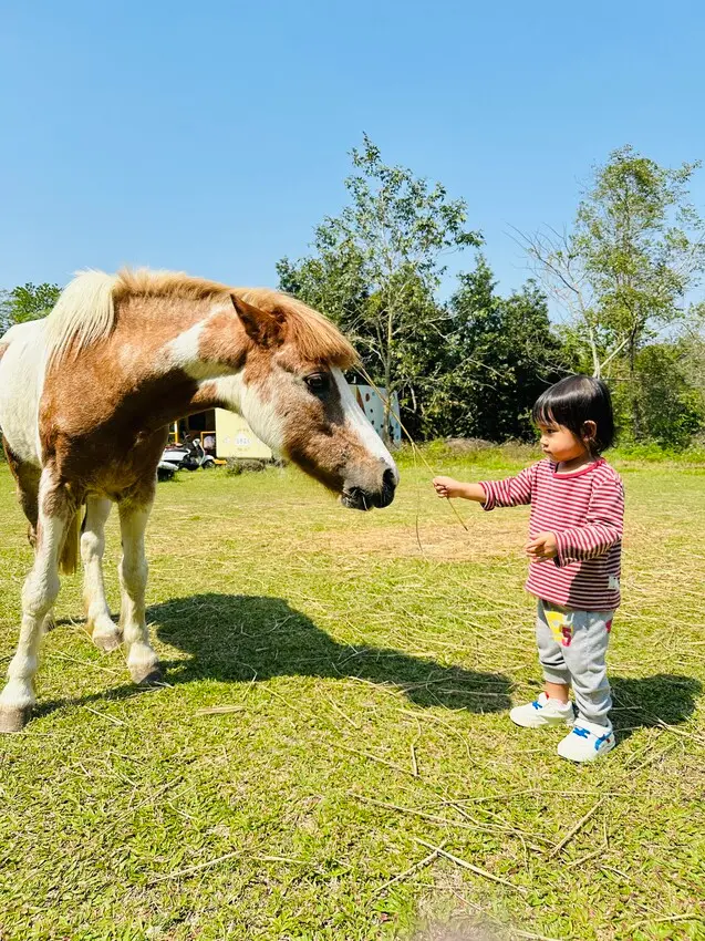 【築夢森居】嘉義親子旅行必訪！野奢豪華露營車開箱，超多元體驗