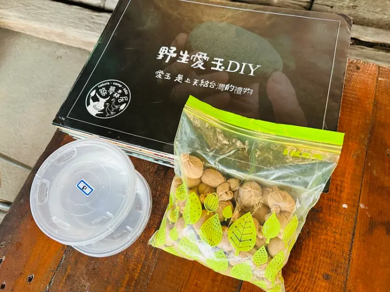 【築夢森居】嘉義親子旅行必訪！野奢豪華露營車開箱，超多元體驗