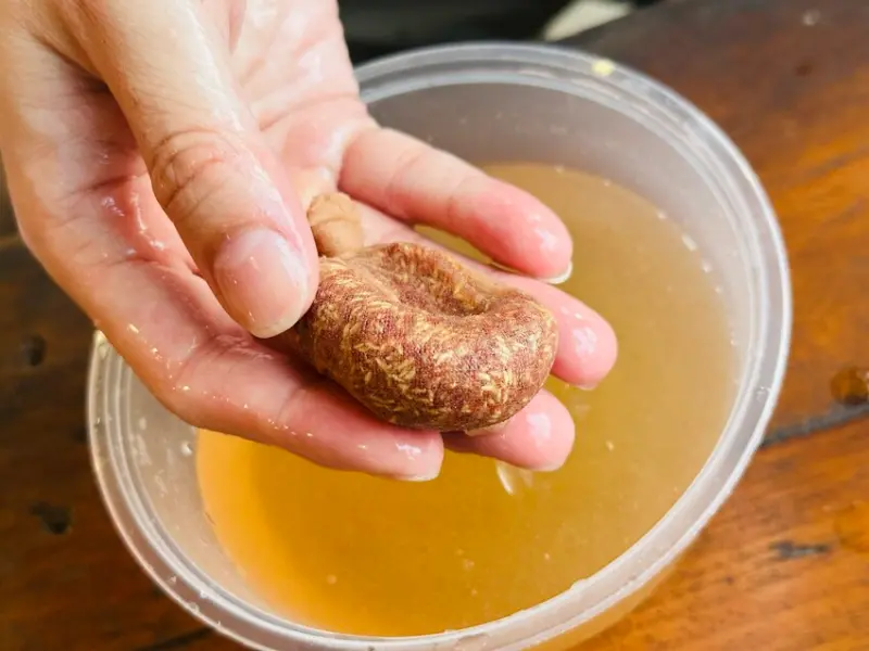 【築夢森居】嘉義親子旅行必訪！野奢豪華露營車開箱，超多元體驗