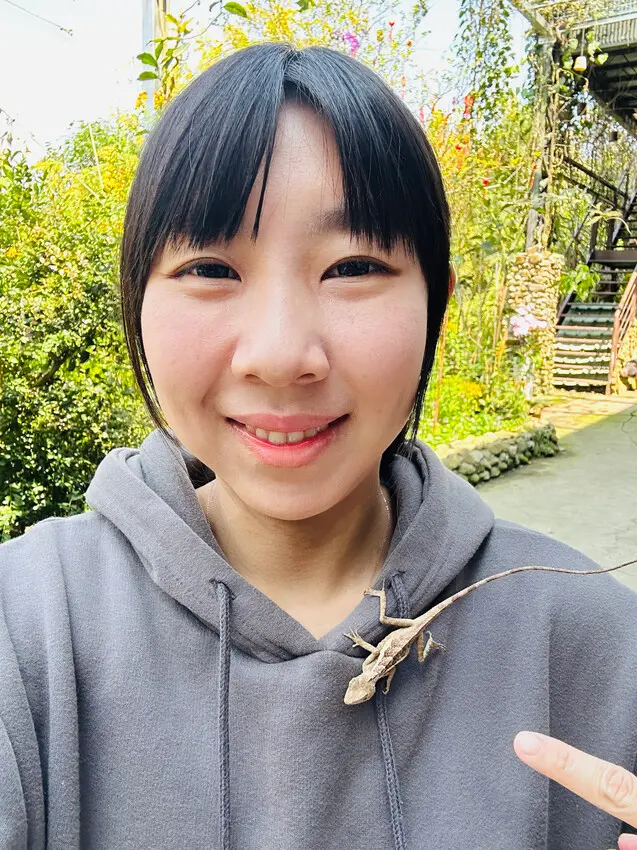 【築夢森居】嘉義親子旅行必訪！野奢豪華露營車開箱，超多元體驗