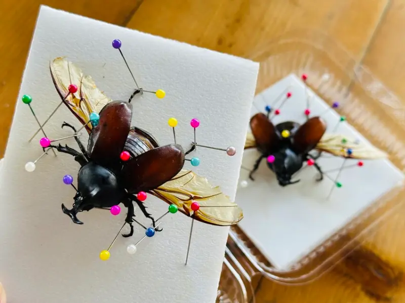 【築夢森居】嘉義親子旅行必訪！野奢豪華露營車開箱，超多元體驗