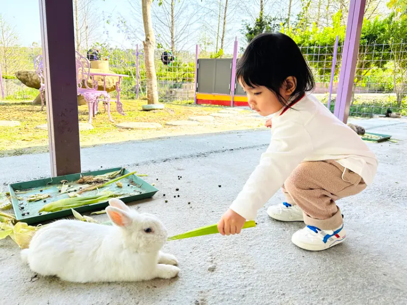 【築夢森居】嘉義親子旅行必訪！野奢豪華露營車開箱，超多元體驗