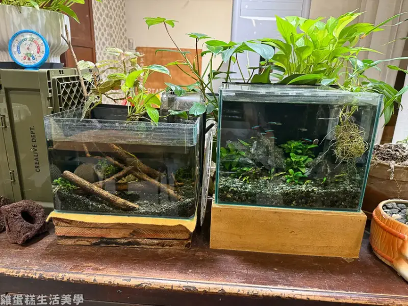 【新竹食記】銀滿豆花