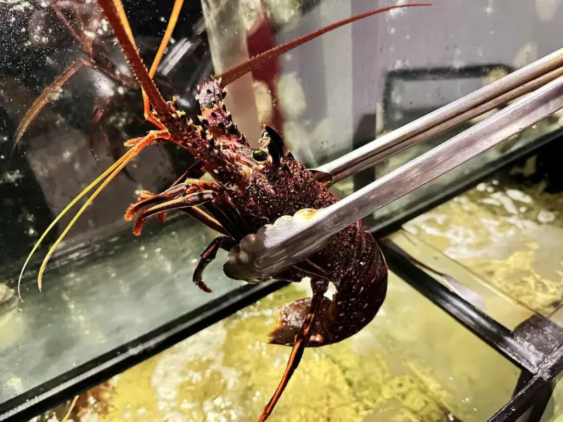 【台北中山美食】御-A鐵板燒，華燈初上拍攝地點，豪華又隱密，