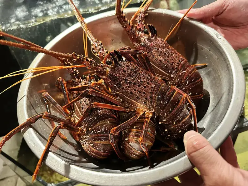 【台北中山美食】御-A鐵板燒，華燈初上拍攝地點，豪華又隱密，