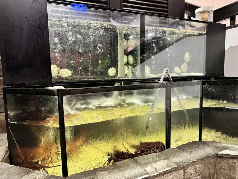 【台北中山美食】御-A鐵板燒，華燈初上拍攝地點，豪華又隱密，