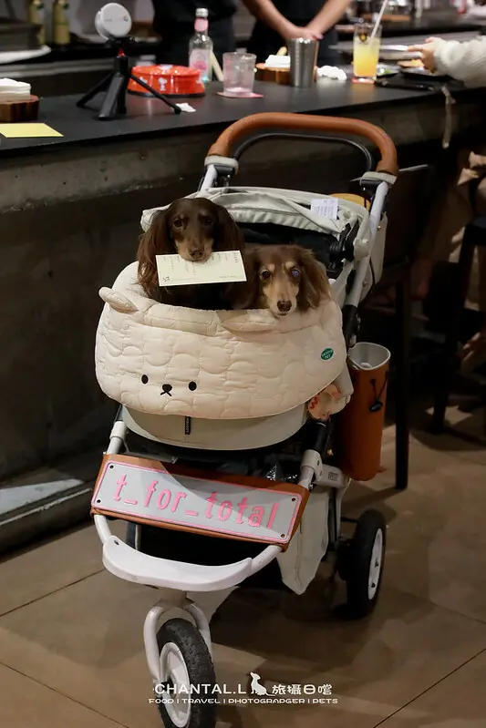 1J6A7954-2拷貝 拷貝