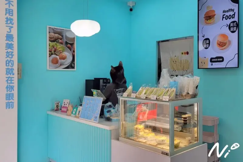 202504 嘉義東區 早到了嗎