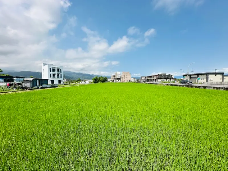 【田邊走走2館】宜蘭冬山親子包棟民宿首選！被稻田環抱的療癒空