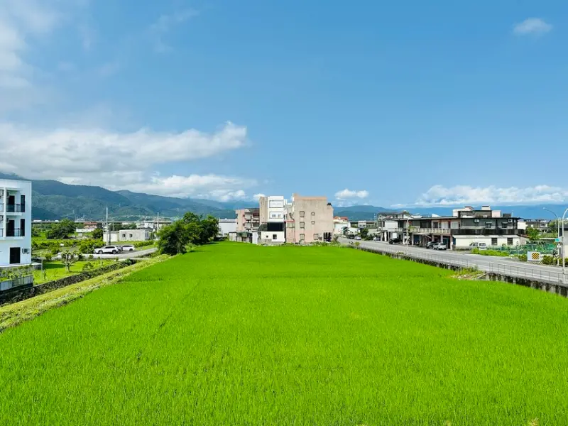 【田邊走走2館】宜蘭冬山親子包棟民宿首選！被稻田環抱的療癒空