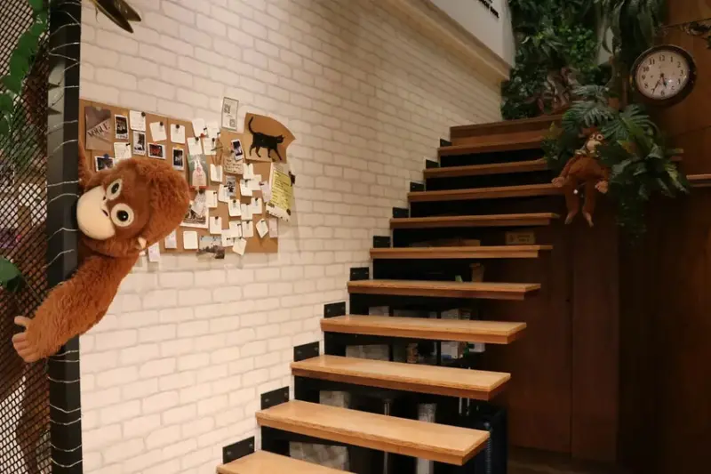 台南hour jungle (3).JPG