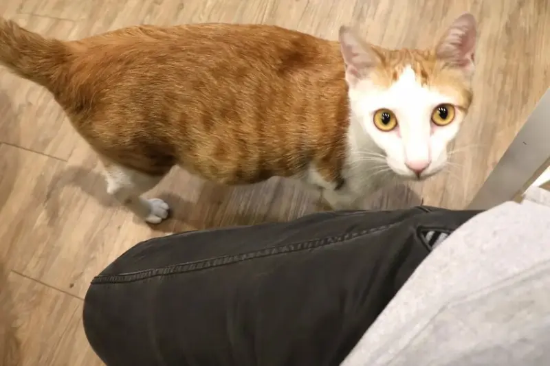 Hour Jungle Café台南中山館 (2).JPG