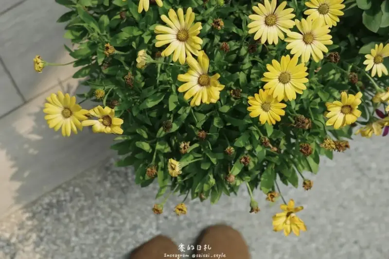 2度C 母親節蛋糕 台中蛋糕店-03-min.JPG