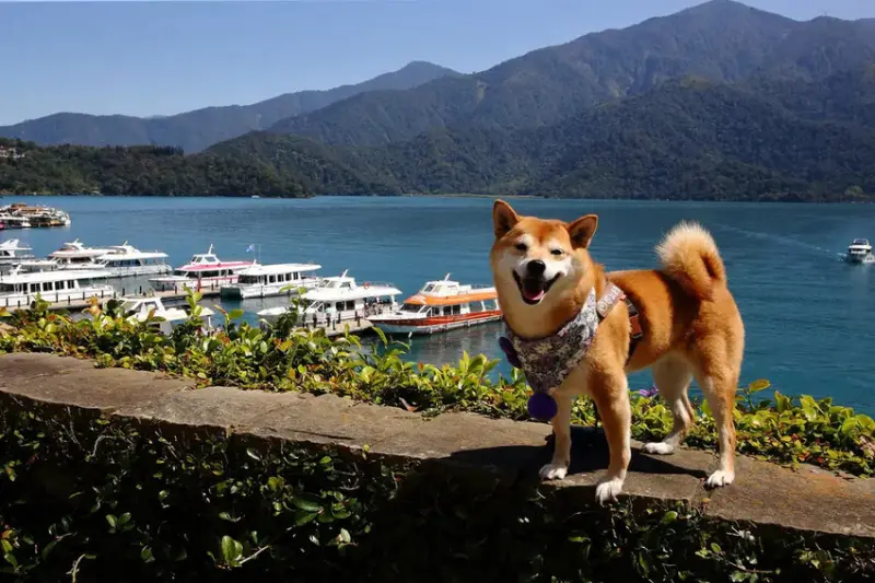 日月潭景觀餐廳推薦，眺Tiao，水社碼頭咖啡廳，270度湖景