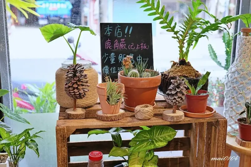 桃園平鎮美食｜鹿途咖啡LU•TU～充滿綠色植栽的早午餐、義大