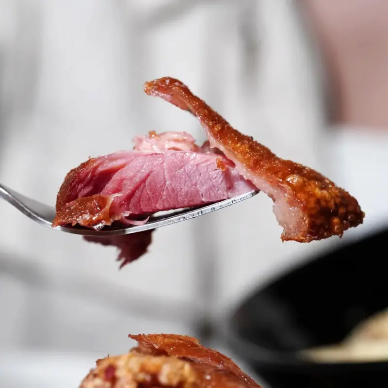 台南餐酒館【胖廚西式音樂餐廳】花襯衫狂歡駐唱生日趴│700元