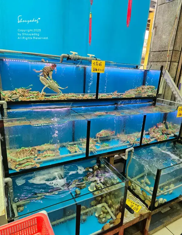 【基隆海鮮餐廳】海之鄉海產餐廳 宴客合菜 基隆現撈海鮮推薦 