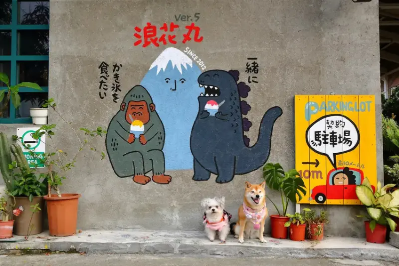 浪花丸かき氷 宜蘭本店，招牌彩色小熊刨冰和藍色富士山冰，可愛