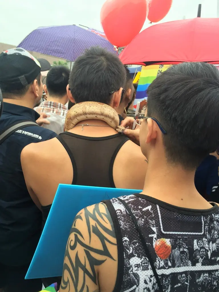 2016台灣同志遊行初體驗 X 台北藍記麻辣火鍋(不推)