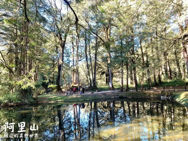 【阿里山景點】阿里山怎麼玩?20個阿里山森林遊樂園區必玩景點!姊妹潭、天空步道、神木等順遊路線! @猴屁的異想世界