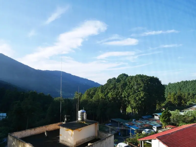 【南部親子旅遊】Day2首遊~人間仙境的嘉義阿里山國家森林遊樂區,我們來了!世界三大鐵路之一、神木遍地~姊妹潭、四姊妹樹、三兄弟樹、永結同心樹、阿里山五奇有哪些?