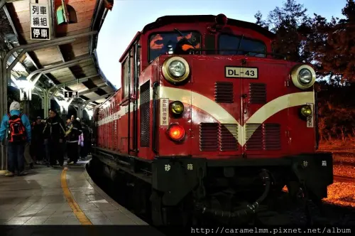 【嘉義遊記】阿里山森林遊樂區 熱血夜衝迎曙光