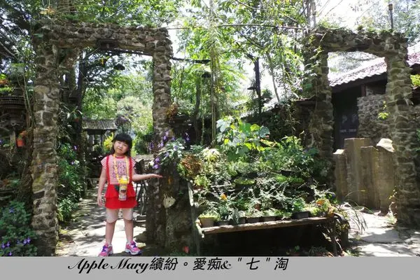 【嘉義】PART 2 阿里山。阿將的家~為夢想而打造藝術花園城堡