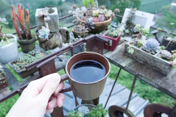 阿將的家23咖啡館 - 一石、一木、和山林間的一抹咖啡香