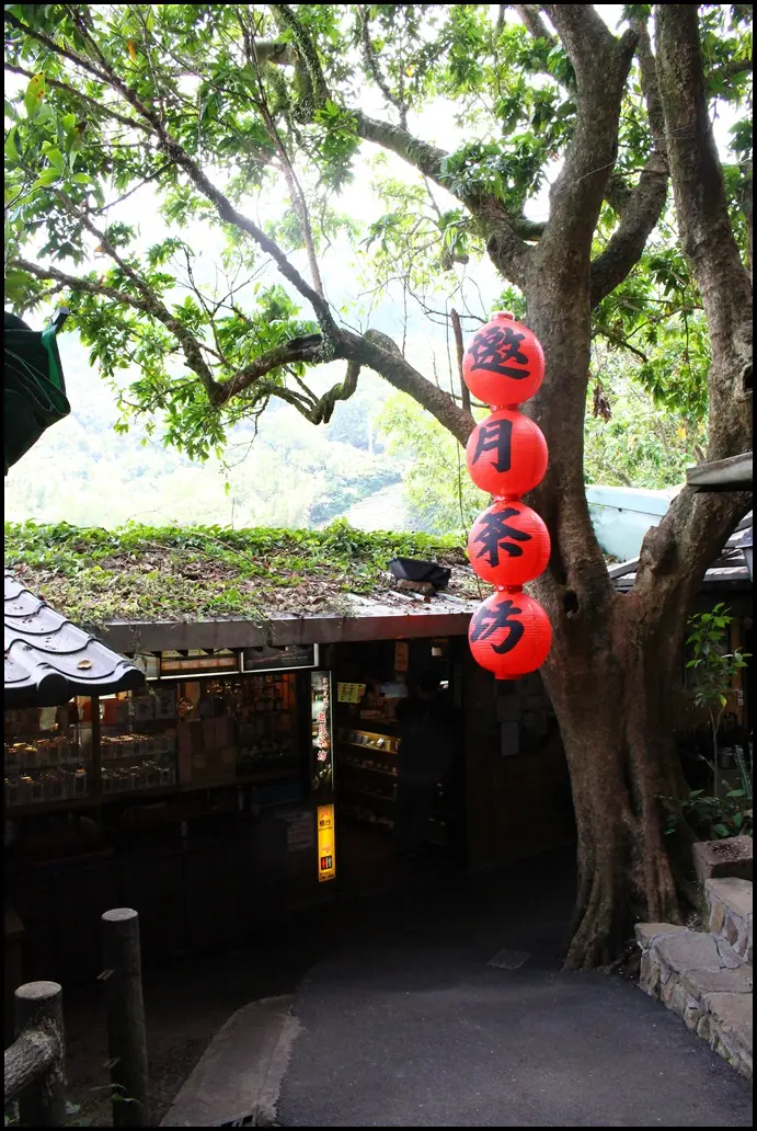 [ 木柵貓空美食 ] 茶研發推廣中心、邀月茶坊～鐵觀音免費暢飲、茶香火鍋與茶香套餐