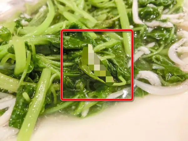 富順樓 - 若要再訪得先等小熊拿冠軍