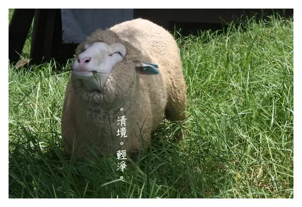 【玩】。清境，放空去。 - 6 - 