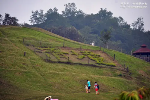 青青草原之羊咩咩脫衣秀：清境農場